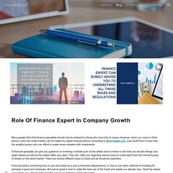 How Finance Expert Paly Role In The Growth Of Company