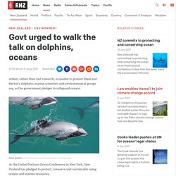 Govt urged to walk the talk on dolphins, oceans