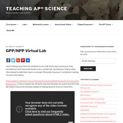 GPP/NPP Virtual Lab - Teaching AP® Science