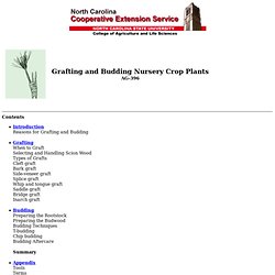 Grafting and Budding Nursery Crop Plants
