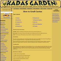 Grafting Cactus Guide