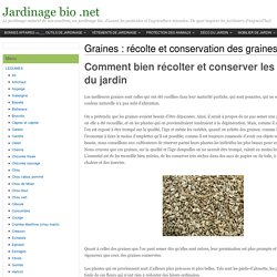 Graines : récolte et conservation des graines - Jardinage bio