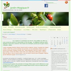Graines Jardin-Magique.fr