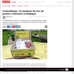 Grainothèque : la tendance du troc de graines s'enracine en Belgique - Environnement