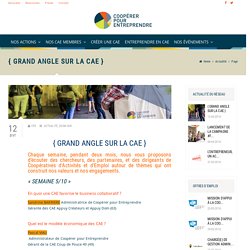 GRAND ANGLE SUR LA CAE - Coopérer pour entreprendre