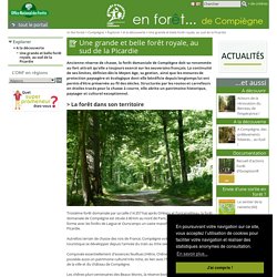 ONF - Une grande et belle forêt royale, au sud de la Picardie