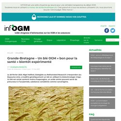 11 mai 2021 Grande-Bretagne – Un blé OGM « bon pour la santé