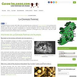 Grande Famine en Irlande (1845-1848) - Pénurie alimentaire en Irlande
