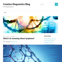 What’s So Amazing About Graphene? – Creative Diagnostics Blog