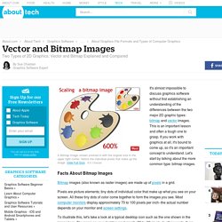 Bitmap Images - Two Types of Graphics - Vector and Bitmap