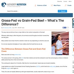 Grass-Fed vs Grain-Fed Beef – What's The Difference?