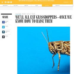 We'll All Eat Grasshoppers—Once We Know How to Raise Them