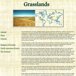 Grasslands Biome