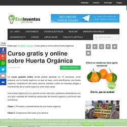 Curso gratis y online sobre Huerta Orgánica