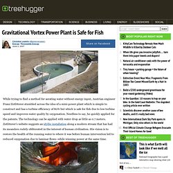 Gravitational Vortex Power Plant is Safe for Fish