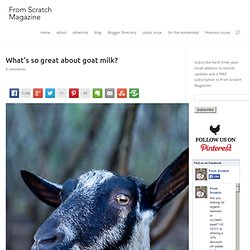 What's So Great About Goat Milk?