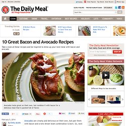 10 Great Bacon and Avocado Recipes