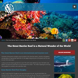 Great Barrier Reef Port Douglas - ABC Scuba Diving