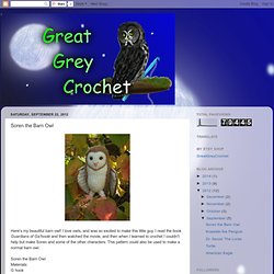 Great Grey Crochet: Soren the Barn Owl