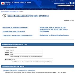 Great East Japan Earthquake (Details)
