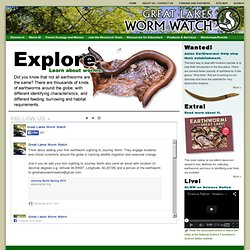 Great Lakes Worm Watch
