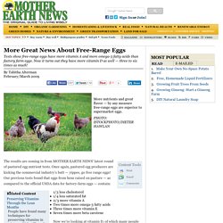 More Great News About Free-Range Eggs - Natural Health
