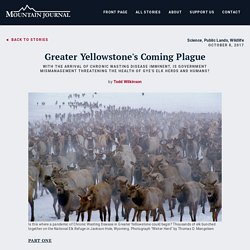 Greater Yellowstone's Coming Plague