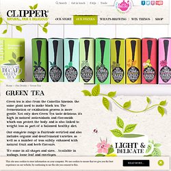 Fairtrade Everyday Tea - Clipper Tea