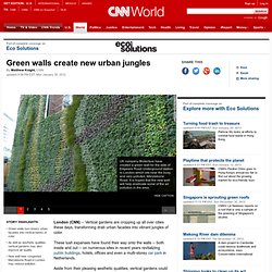 Green walls create new urban jungles