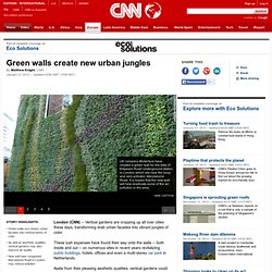 Green walls create new urban jungles