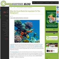 Why Are Coral Reefs So Important To The Biosphere?