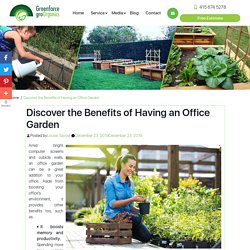 Discover the Benefits of Having an Office Garden