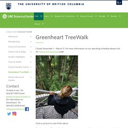 Greenheart TreeWalk