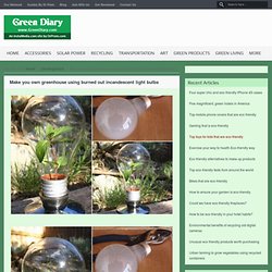 Make you own greenhouse using burned out incandescent light bulbs