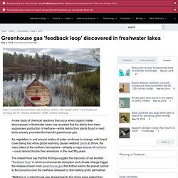 Greenhouse gas 'feedback loop' discovered in freshwater lakes