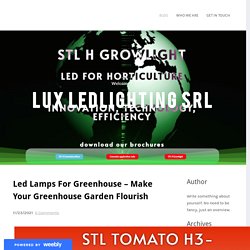 Led Lamps For Greenhouse – Make Your Greenhouse Garden Flourish