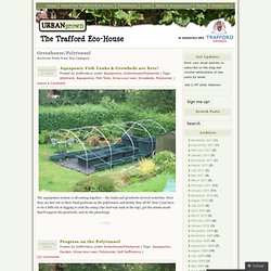 Greenhouse/Polytunnel « Trafford Eco-House