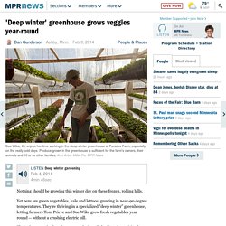 'Deep winter' greenhouse grows veggies year-round