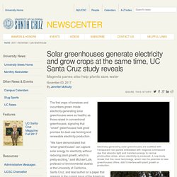 Solar greenhouses generate electricity and grow crops at the same time, UC Santa Cruz study reveals