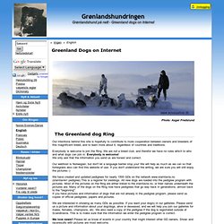 Greenland Dogs on Internet : Grønlandshundringen