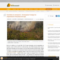 Incendies en Amazonie : Greenpeace fustige les importations françaises de soja