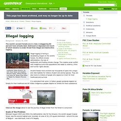Illegal logging