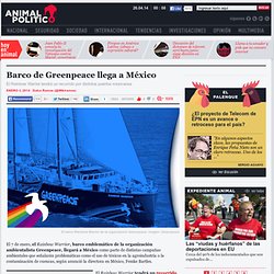 Barco de Greenpeace llega a México