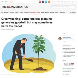 Greenwashing: corporate tree planting generates goodwill but may sometimes harm the planet