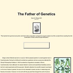 Gregor Mendel - Father of Genetics