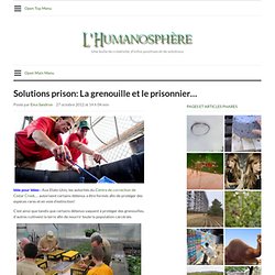 Solutions prison: La grenouille et le prisonnier... - L