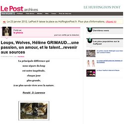 Loups, Wolves, Hélène GRIMAUD....une passion, un amour, et le talent...revenir aux sources - Amis des loups sur LePost.fr (10:04)