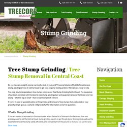 Tree Stump Grinding in Central Coast