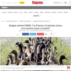 Grippe aviaire H5N8: "La France n'a jamais connu une souche aussi virulente"