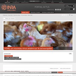 INRA 28/11/14 H5N8, un nouveau virus aviaire sur le sol européen